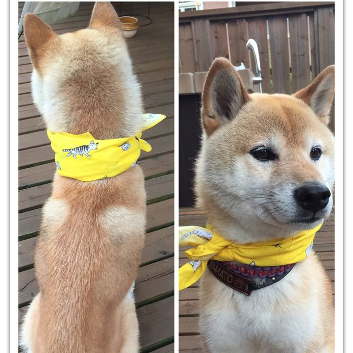 Dd378ae6 a010 413b 9761 50162637e321