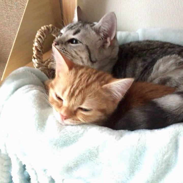 Dd37d784 8062 436c 8eb7 d9c85a5d0e49