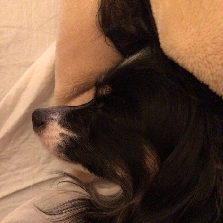 Dd38abc9 ec6f 4296 b4f3 37e475dc1f81