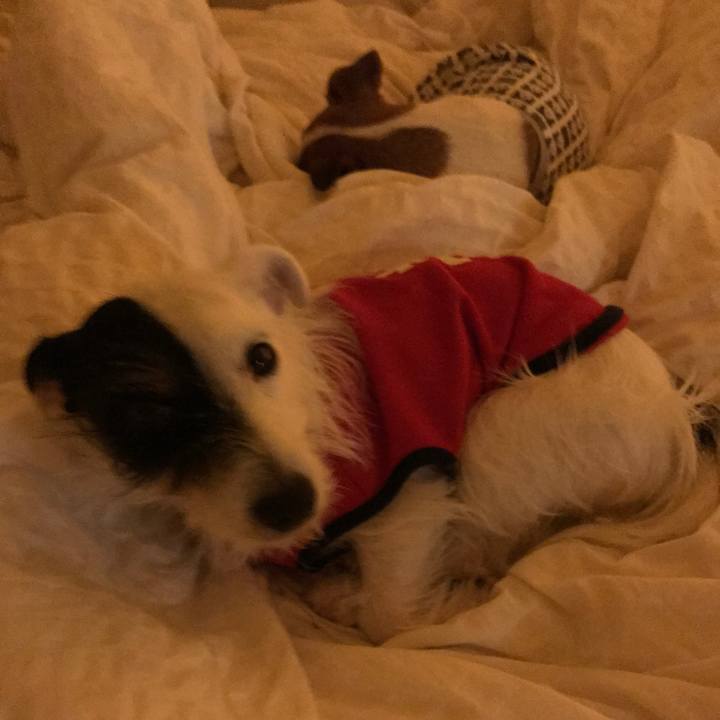 Dd38c212 7309 4094 a185 a6a09fc759c9