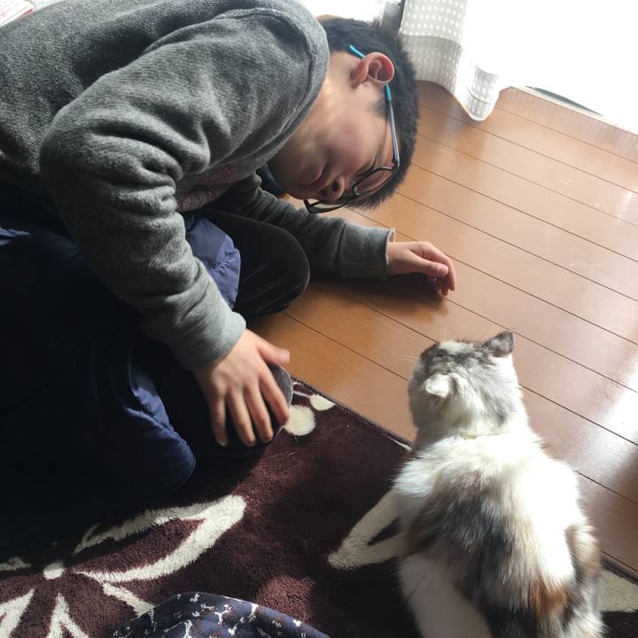 Dd38f529 f451 496a 983b e0cd0b89f9a6