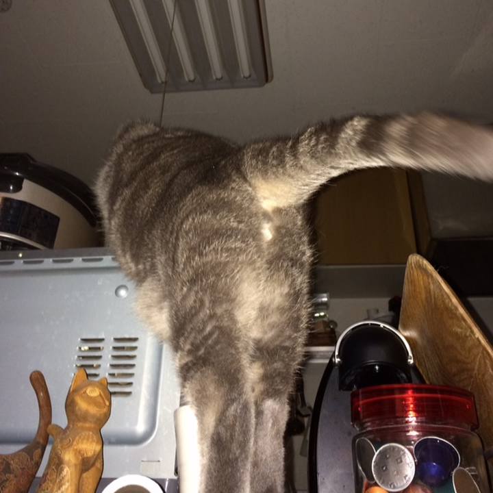 Dd399176 9e59 4a0c b3a5 4d3471c4d392