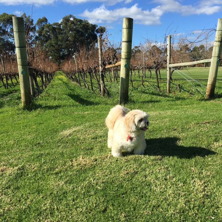 Dd39c637 8fd0 4602 af76 1b8c33741e82