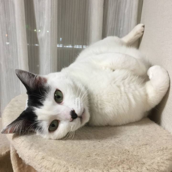 Dd39de98 5acb 43b0 a1c3 c5a5317610ad