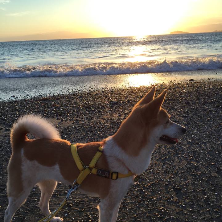 Dd3ac189 5bcc 471f bf79 637b93dfb2fd