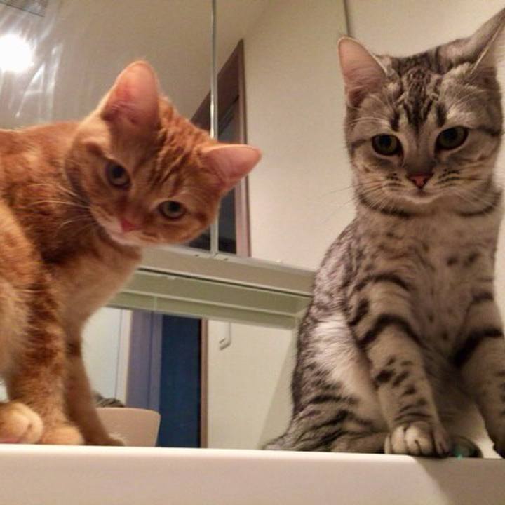 Dd3ac909 0c64 4c64 9577 dd861bc5ac7f