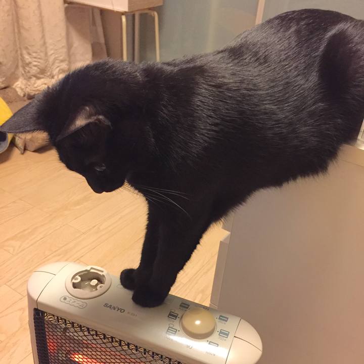 Dd3afdf8 37fb 4256 83da 29e7d37ddd7d