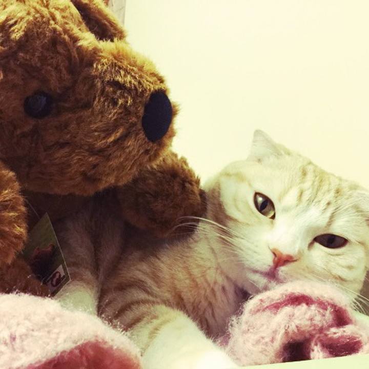 Dd3b9884 bbb0 44ae b0b6 809b6b494f49