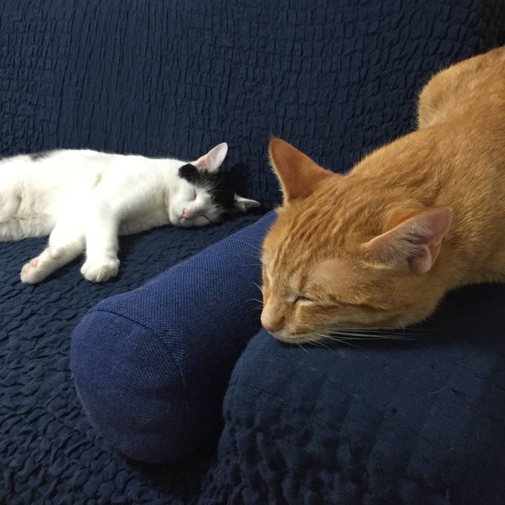 Dd3bc4eb 9b6a 4fb9 9e00 dbef5028953f