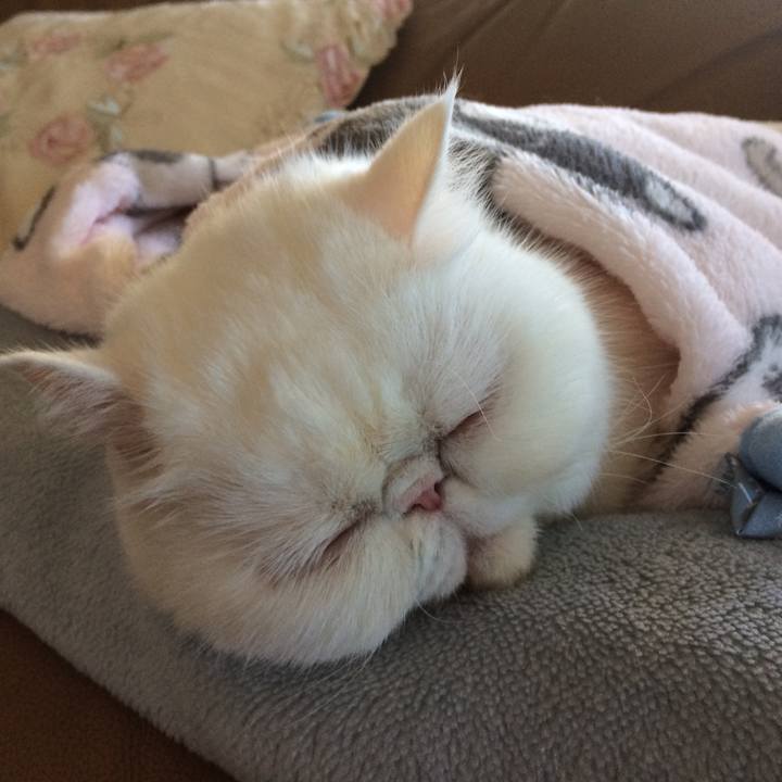 Dd3c0a66 cf0b 4549 8606 f6efcc579733