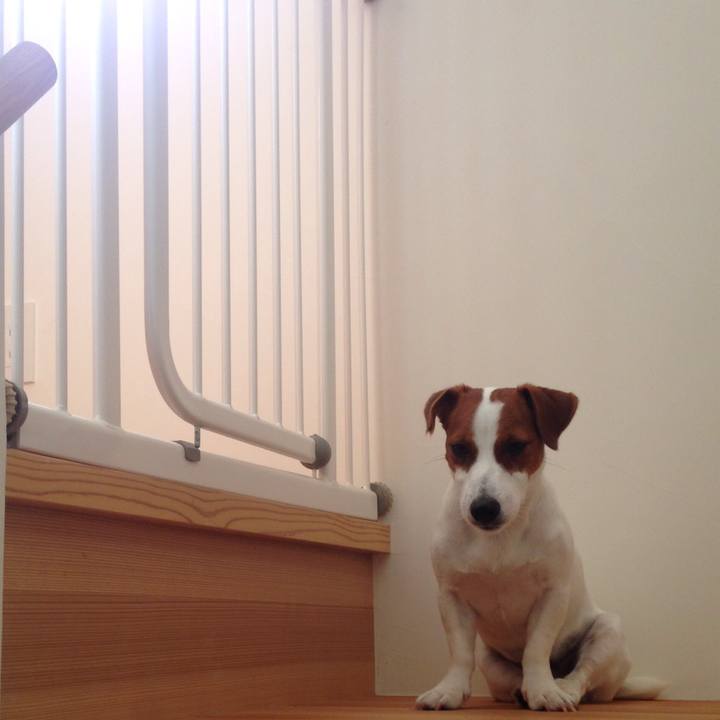 Dd3caab8 e0b0 4d34 8638 2c9abf9e1676