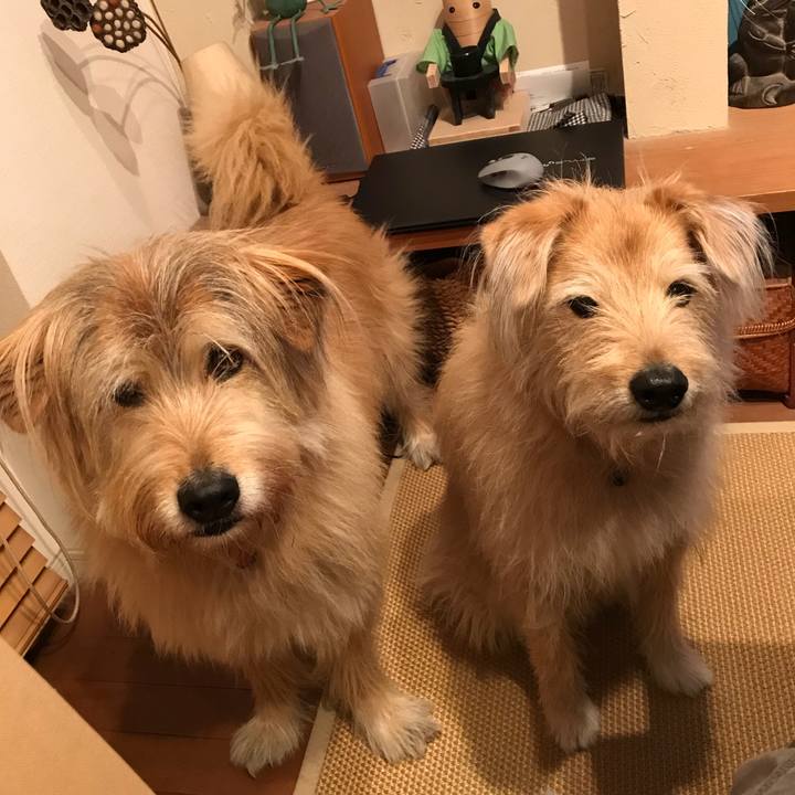 Dd3d9f6b d48c 4f9a bc73 5c0130b080b8