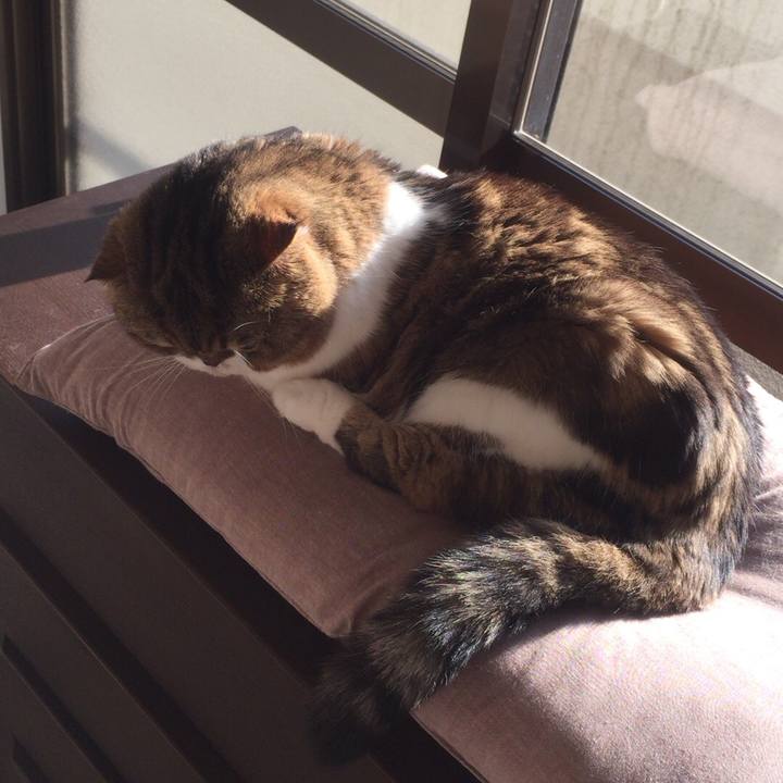 Dd3db95c 80b6 4bba 9e77 bb1f7d803e1b