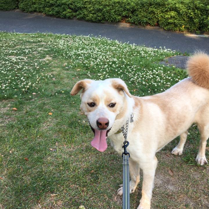 Dd3dd78a 9020 440d 9b91 61e846361c24