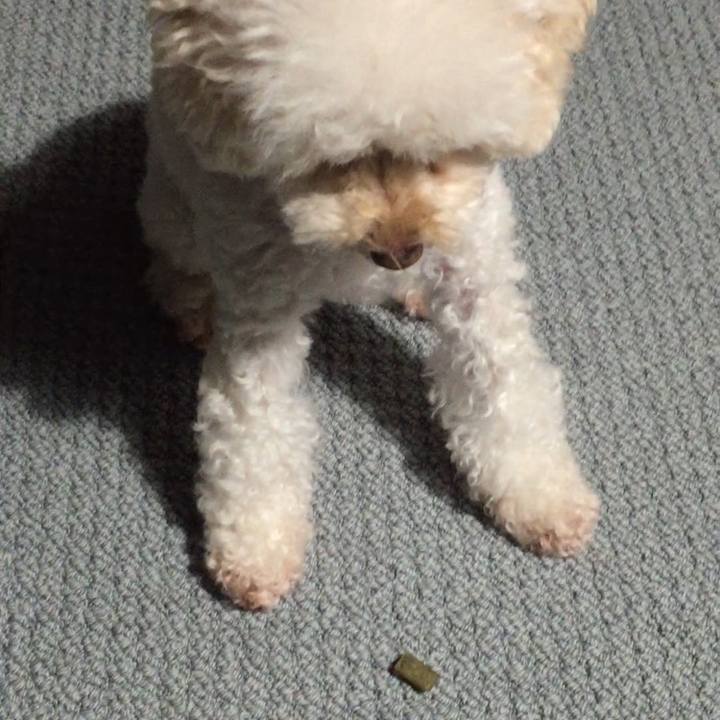 Dd3dff5b 4524 4b91 8c30 b687993aef69