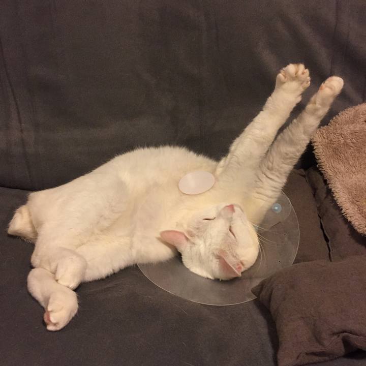 Dd3e4cbd f117 4ee8 8f70 0f252cab6de1