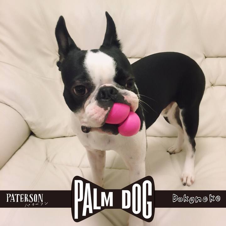 Dd3e5675 984e 4d6d beaa 111c8578778f