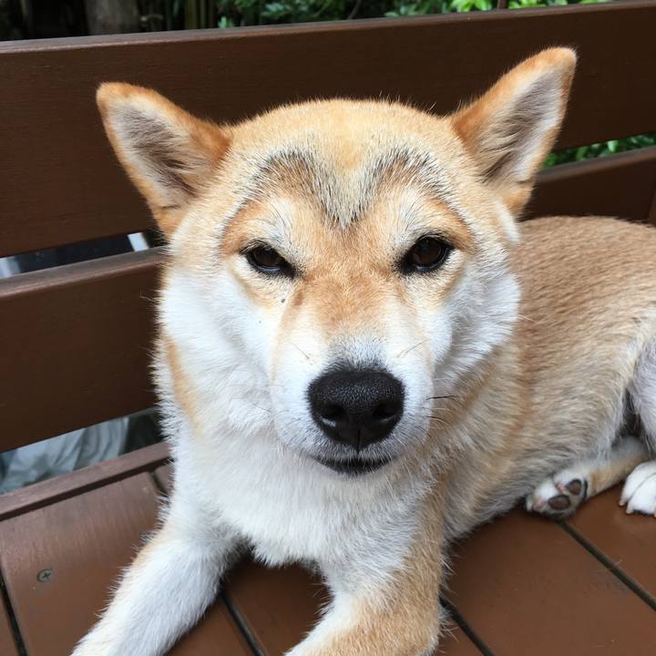 Dd3e72ac bf36 449e b2e6 8290d661b9b9