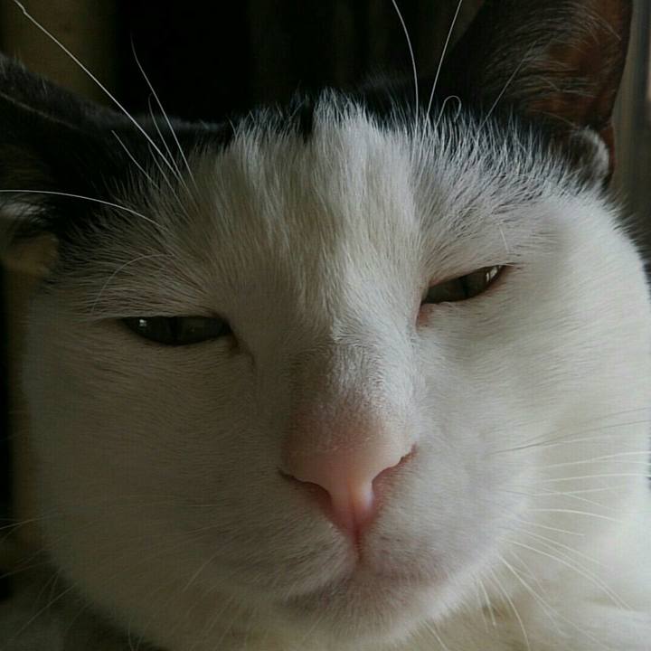 Dd3eadfb 2494 4d33 afd9 59a7ad78180d