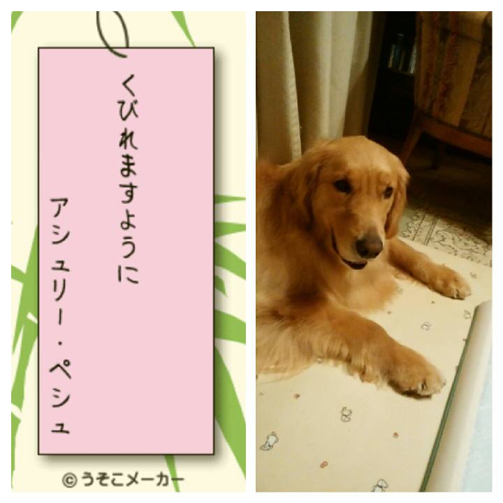 Dd3efb11 5b33 4785 ab00 94af21e0b8b4