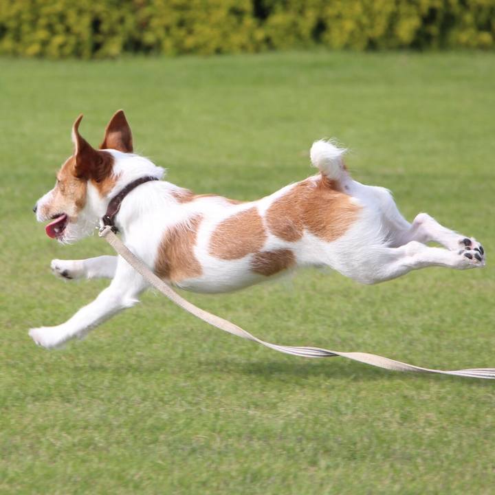 Dd3f438c c000 46b8 8c30 9e9b40cae95e