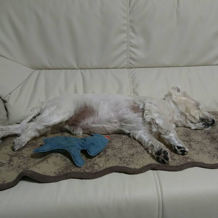 Dd3f7cbf 6ac7 47c5 9714 12ced1acb3f6