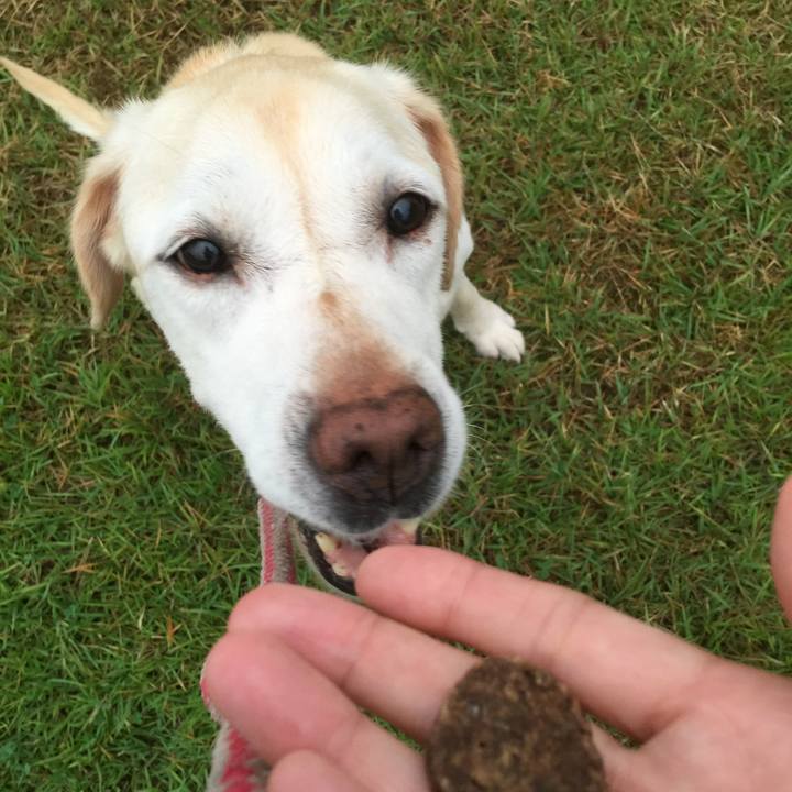 Dd40002a a54a 4159 8a4a 3636b9da37b8