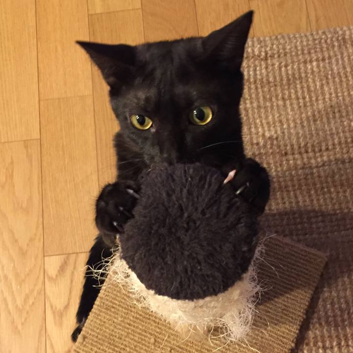 Dd4017d3 31f6 4a48 b1bf a91da5245a43