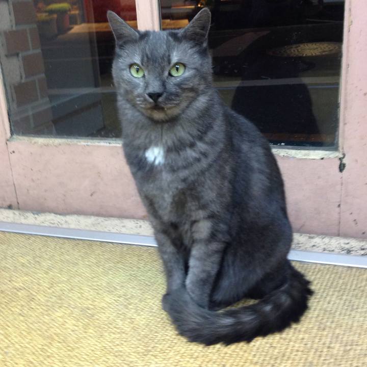 Dd40f0a7 819d 48ca 9092 de48322a92e1