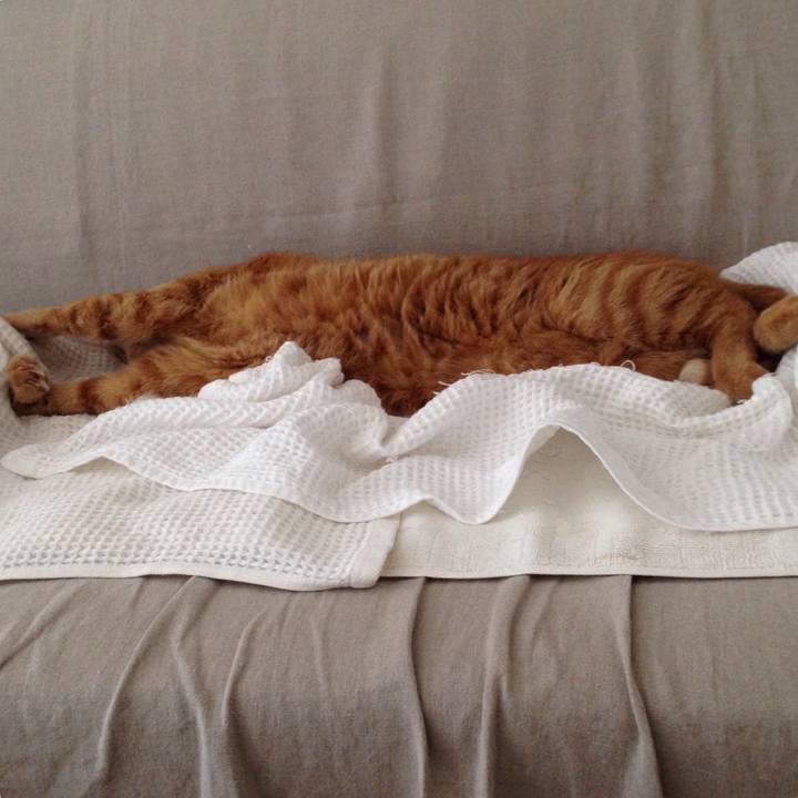 Dd4122c4 8270 41c0 a673 e519298aa50e