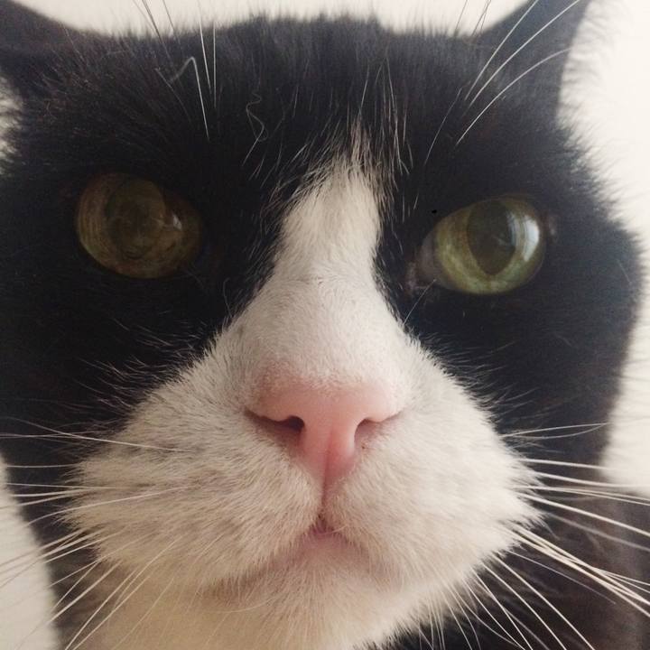 Dd418262 543b 4155 b26d f4836e15ea59