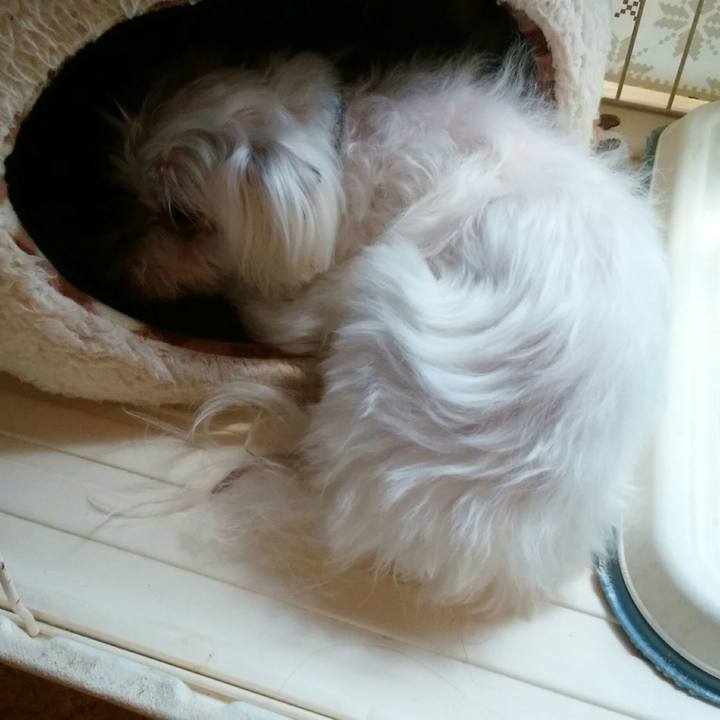 Dd42a9e6 f0ef 4f6a aa51 2f4dbd132117