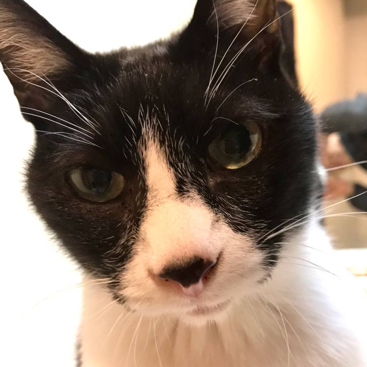 Dd42aa41 2ee4 4d95 b90e 2e84ef7793a1