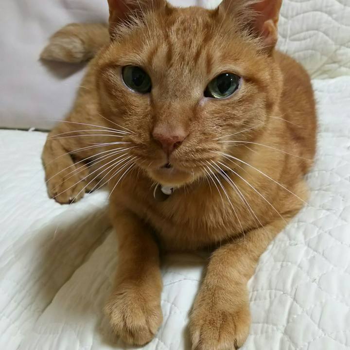 Dd437d88 cc50 446f 992a 83be8efd8d44