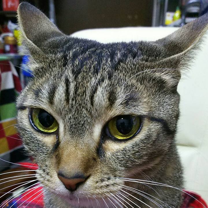 Dd43935d 6981 4da4 880a 7bfc1621df47