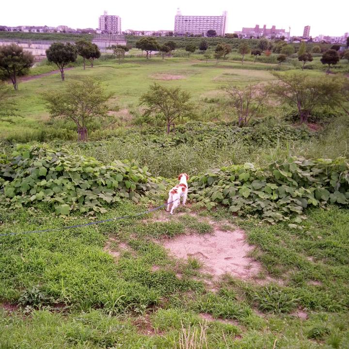 Dd4461ec b26e 459d acd2 218305cf8a72