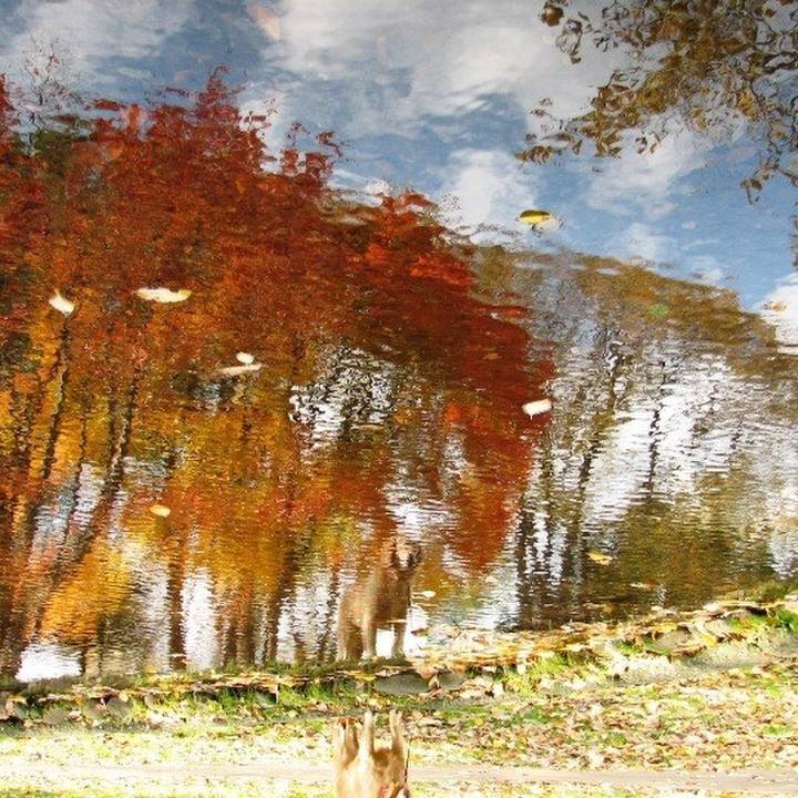 Dd45a1c2 fc93 4457 bf4f 191e5dd358a9