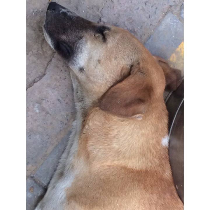 Dd467b81 0d03 4a1d 8c4b a2d4a133c3ca