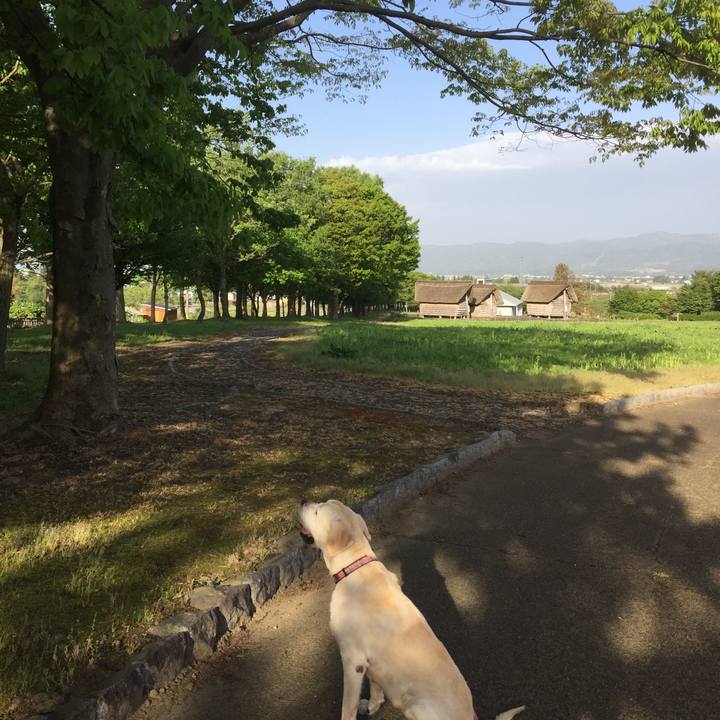 Dd46ba57 9112 434f 84d9 e67a220c0db7