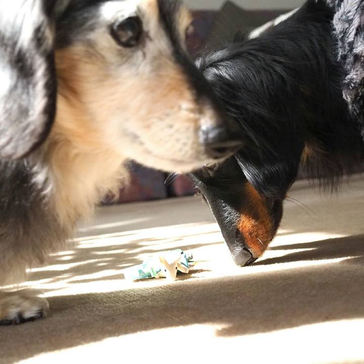 Dd4740ef bb48 4ba7 a6b2 1e10e20e601f