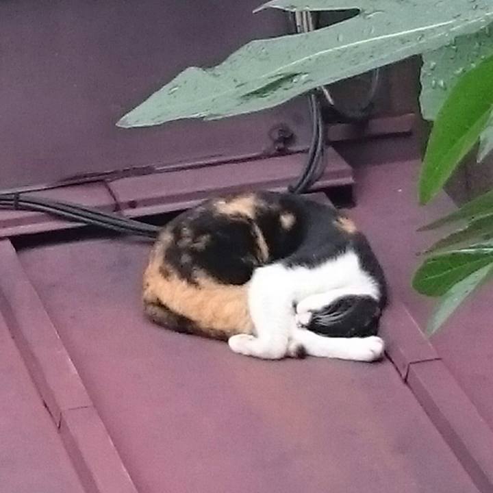 Dd474a40 c38f 44d0 ac97 9e0443f8a078