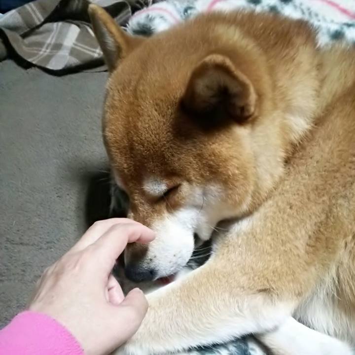 Dd475fe0 1d9e 48cf 9fc7 90da4b5686a1