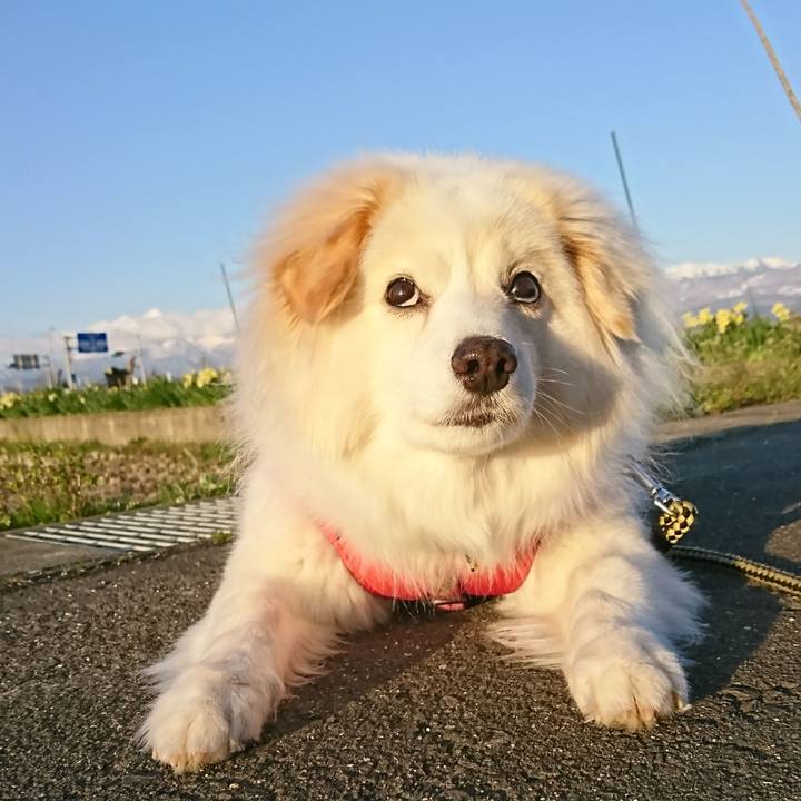 Dd4766a2 2f10 4d19 a8ce 7e8e451ed11f