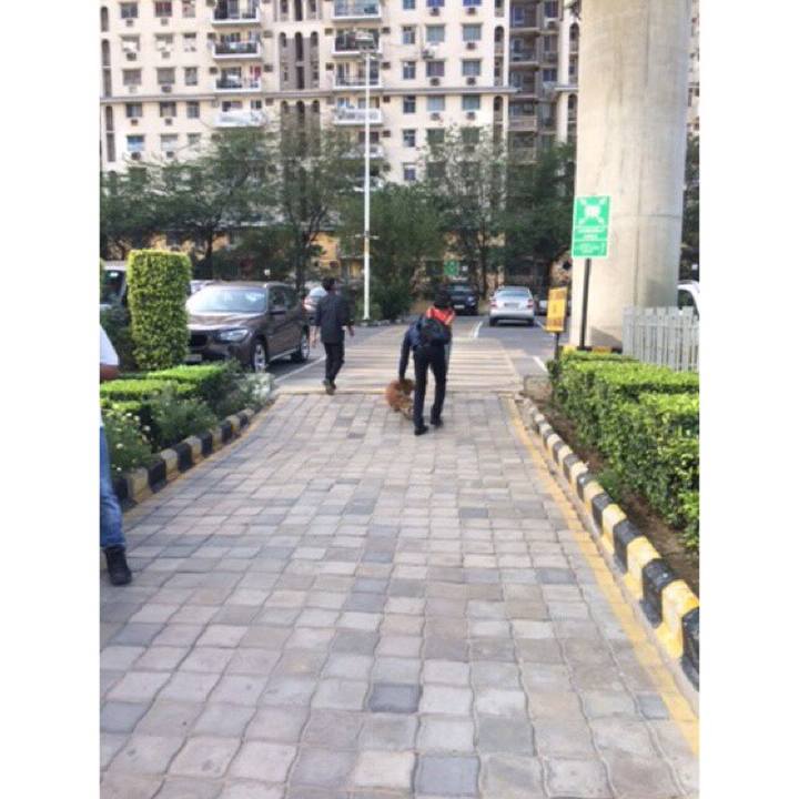 Dd476a62 1e11 4181 a43c 38a5fc18d780