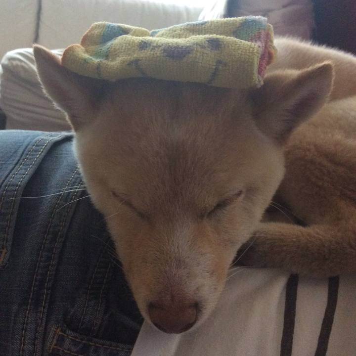 Dd47cc5d 580d 4455 be81 b5916e6958f1