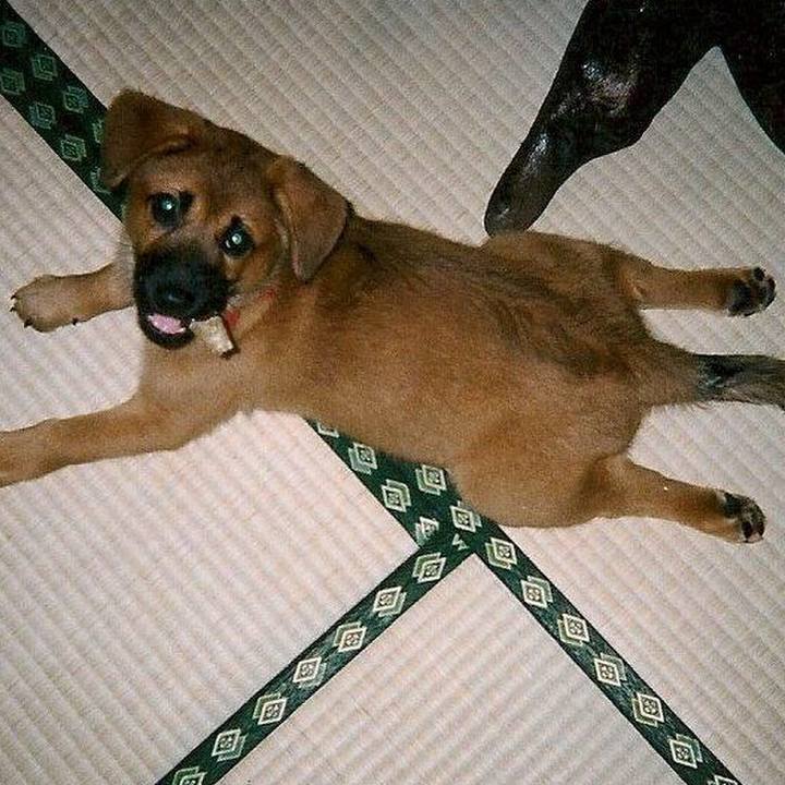 Dd47dc8c ffb6 4572 bd78 791b8dc5925b