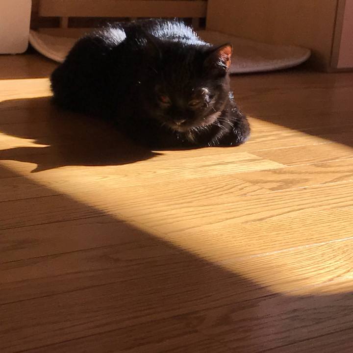 Dd4810a8 1552 49f1 be75 797debc172af