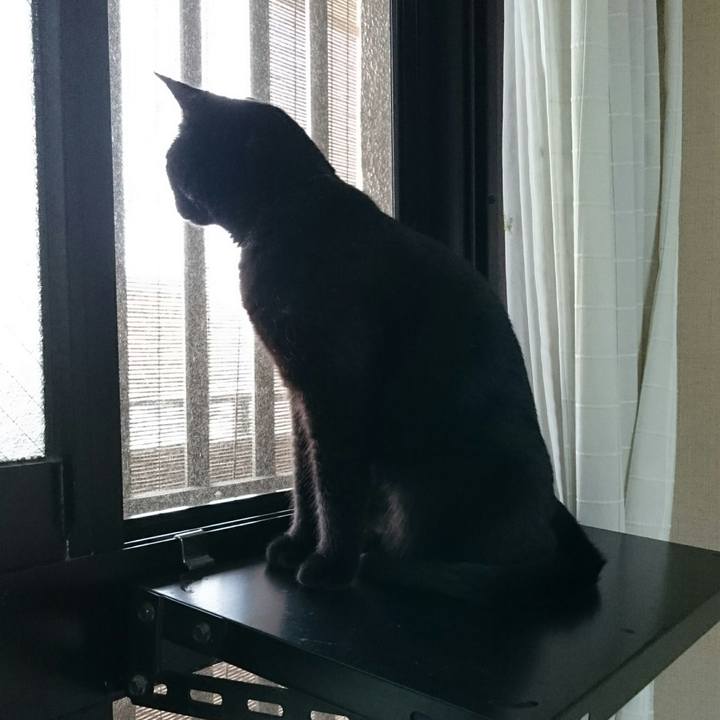 Dd483a3f 53d4 40de a5a7 590f950b04f4