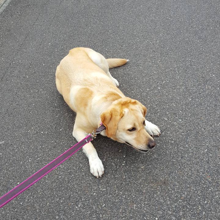 Dd48595e 21b7 4768 a88c a2c6c65395c1