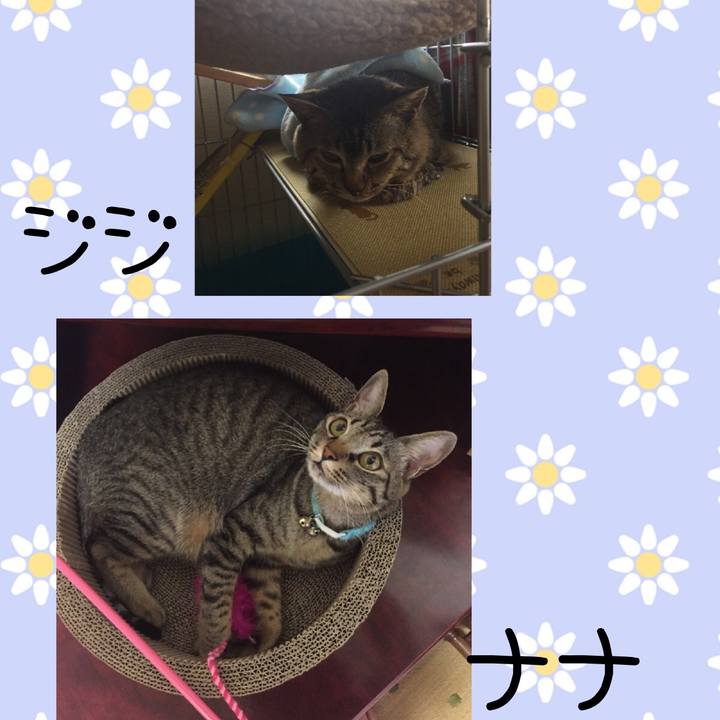 Dd487df8 2df6 4310 a8bd 157076c4feb6